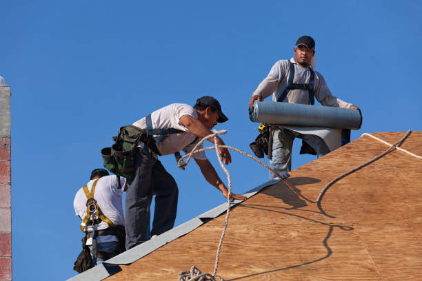 Best Commercial Roofing Services  in El Jon, CA