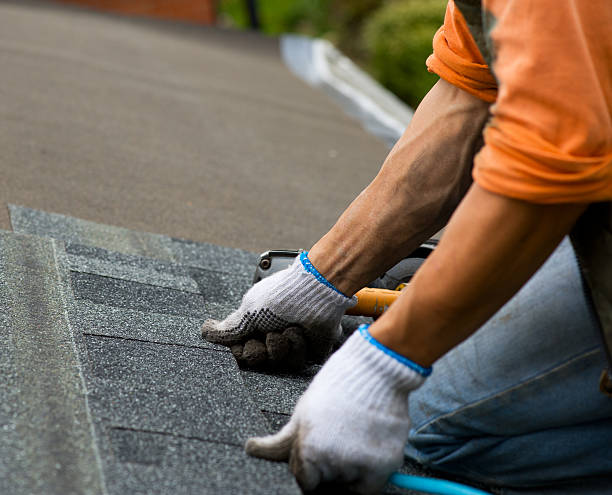 Best Roof Repair Services  in El Jon, CA