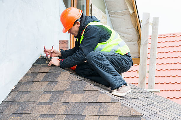 Best Gutter Installation and Roofing  in El Jon, CA